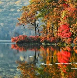 Meet your Posher, Michele